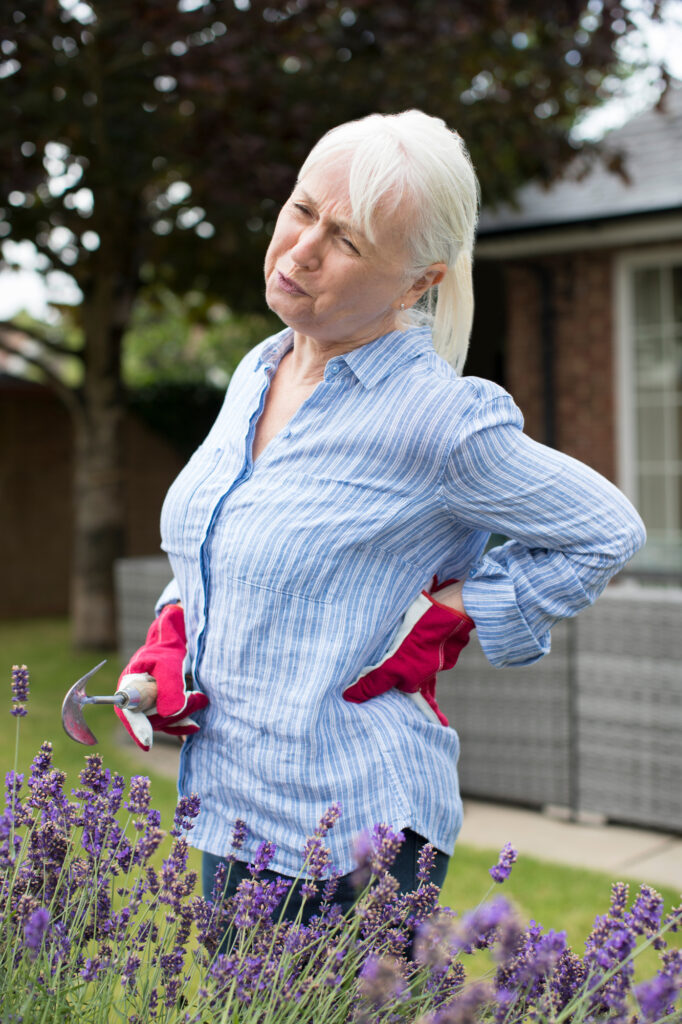 How to Avoid Back Pain When Gardening Turramurra Sports and Spinal